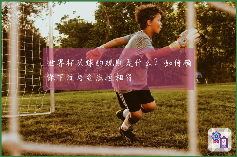 世界杯买球的规则是什么？如何确保下注与合法性相符