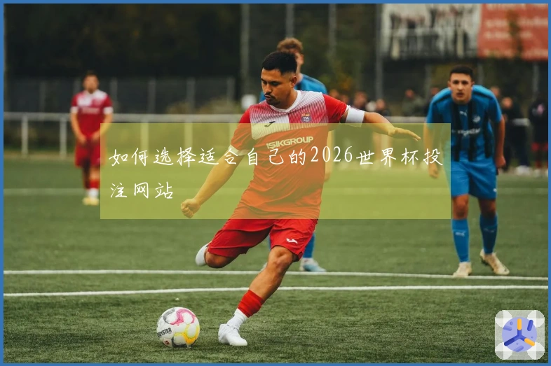 如何选择适合自己的2026世界杯投注网站