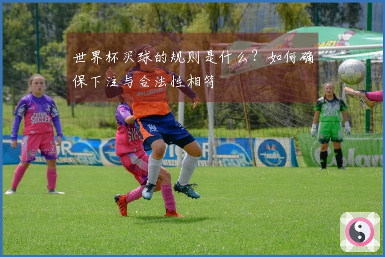 世界杯买球的规则是什么？如何确保下注与合法性相符