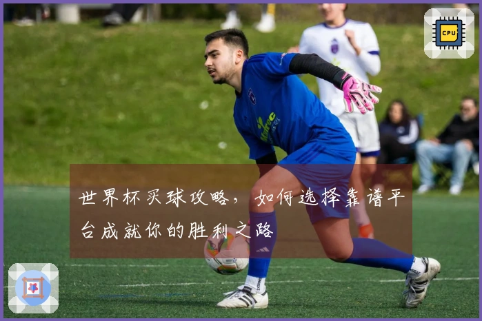 世界杯买球攻略，如何选择靠谱平台成就你的胜利之路